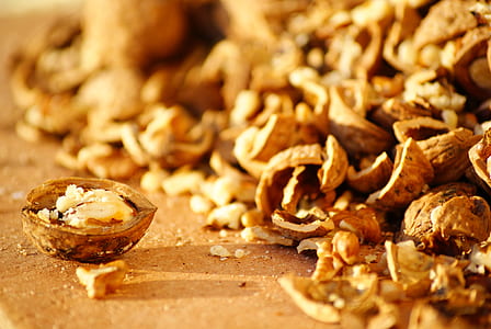 selective focus photography of walnut thumbnail
