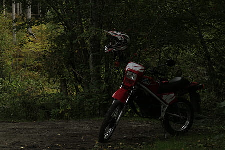 red and black dual-sport bike near bushes thumbnail