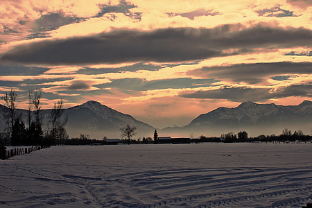 open field during golden hour thumbnail