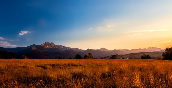 grass field under blue sky thumbnail