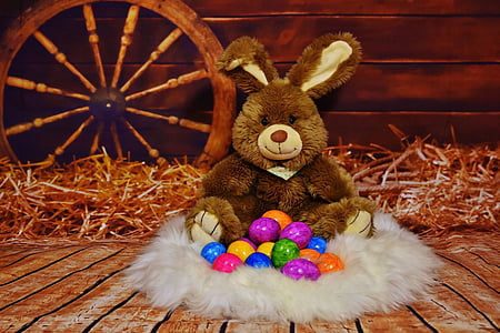 Easter Bunny plush toy set placed on brown wooden floor thumbnail