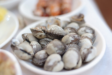 selective focus photography of clam shell thumbnail