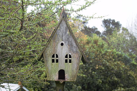 brown wooden birdhouse thumbnail