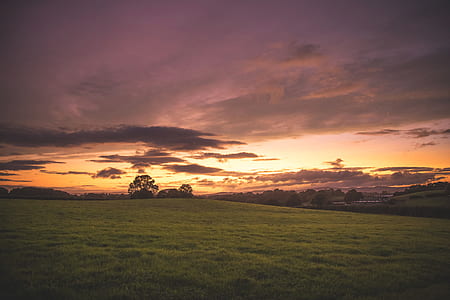 landscape photo of green field during golden time thumbnail