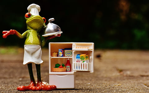 frog beside refrigerator figurine thumbnail