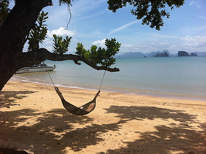 body of water near green trees thumbnail