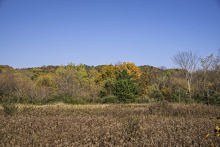 Autumn color on the trees near Holy Hill, Wisconsin thumbnail