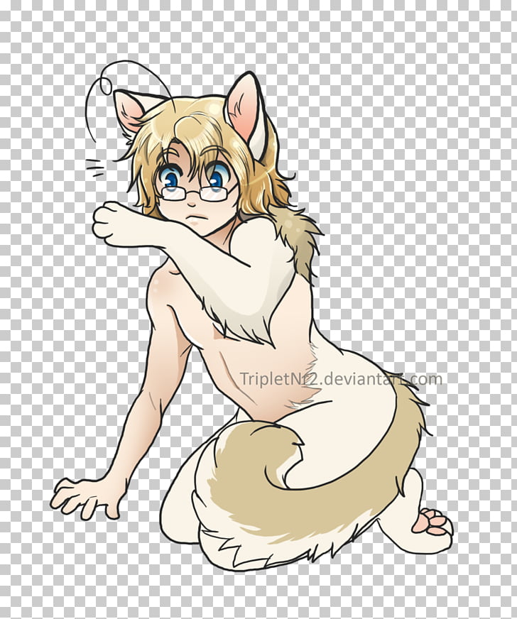 Cat human hybrid anime