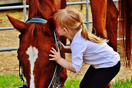 girl kissing brown and white horse thumbnail