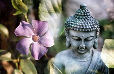 selective focus photograph gautamma buddha statue thumbnail