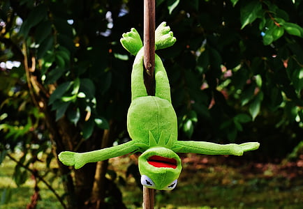 Kermit the Frog plush toy hanged on wooden stick outdoors thumbnail