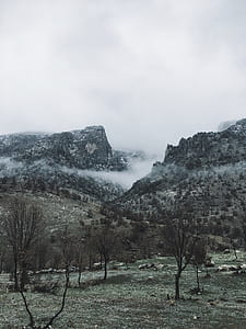 mountain covered with fog thumbnail