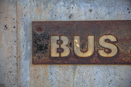 brown Bus wallplate thumbnail