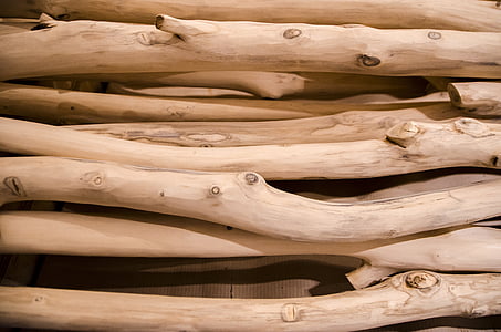 photography of tree logs thumbnail