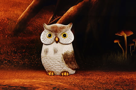 brown and white owl illustration thumbnail