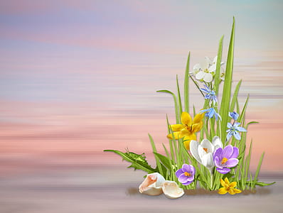 assorted-color flowers on pink surface thumbnail