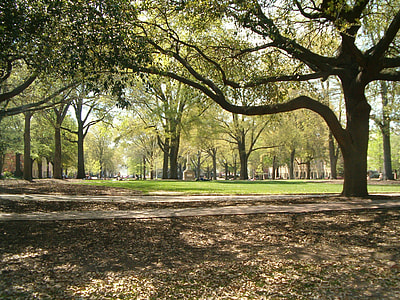 The horseshoe at the University of South Carolina in Columbia thumbnail