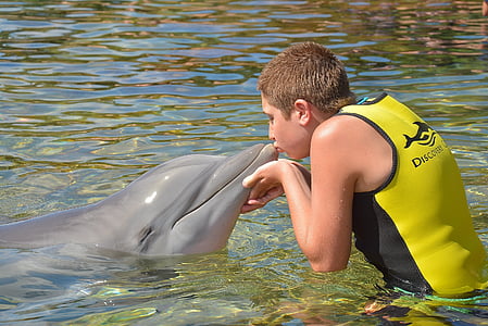 person kissing dolphin during daytime thumbnail