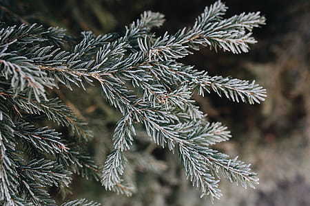 Winter freeze thumbnail