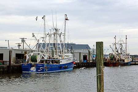 Two fishing boats docked in one of Point Pleasant marinas along the New Jersey shore. thumbnail