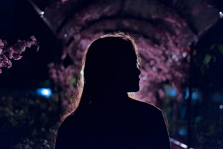 silhouette photo of woman standing near pink petaled flower at nighttime thumbnail
