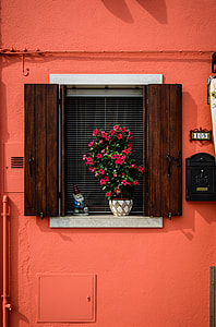 red Dipladenia flower potted plant on window with orange painted wall thumbnail