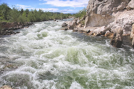 river near forest thumbnail