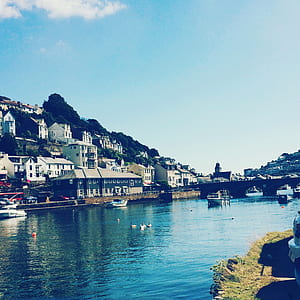sea, city, houses, water thumbnail