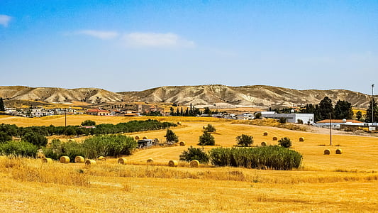 landscape photo of houses on near hill thumbnail