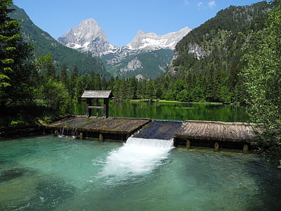 body of water surrounded of trees thumbnail