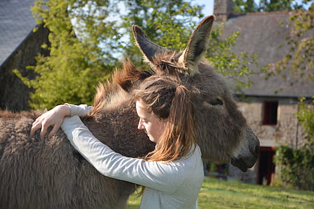 woman hugging donkey thumbnail