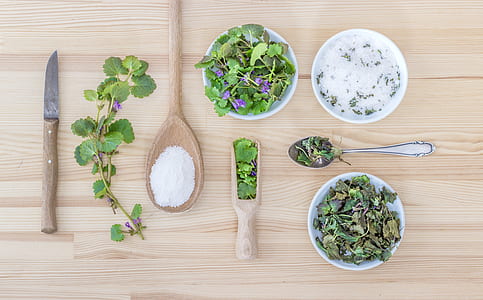 top view photo of green plant with purple flowers thumbnail