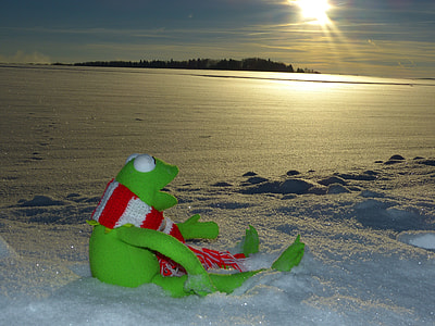 Kermit the frog sitting on snow during golden hour thumbnail