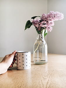 pink flower on clear glass vase thumbnail