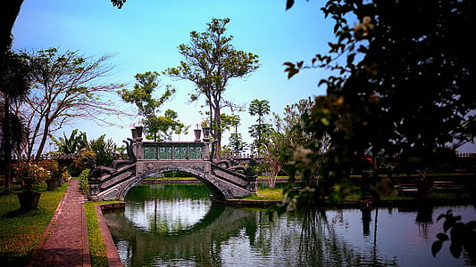 concrete bridge near trees during day thumbnail