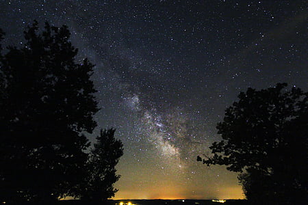 silhouette trees under night sky thumbnail
