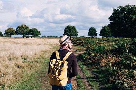 Man With Backpack Walking on Pathway Between Field at Daytime thumbnail