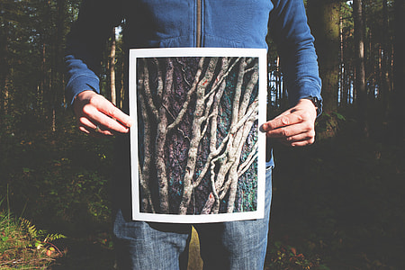 person holding gray branch photo thumbnail