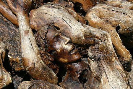 closeup photo of brown wooden log with carved female face thumbnail