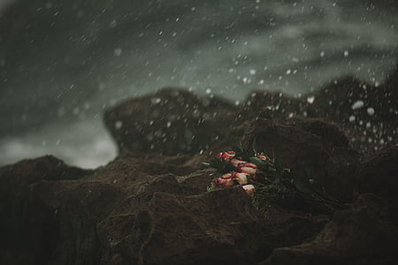 flowers on stone thumbnail