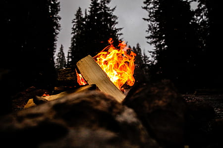 brown firewood and bonfire thumbnail