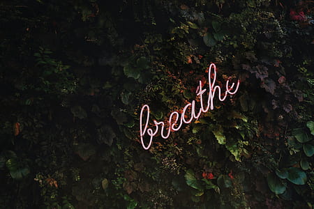 Breathe neon-signage on green plants thumbnail