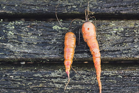 closeup photo of two carrots on wooden floor thumbnail