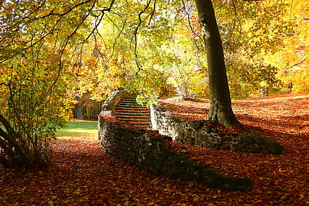 green tree thumbnail