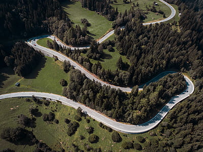aerial photography of zig-zag road thumbnail