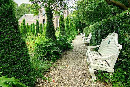 white wooden benches on pathway beside plant topiaries thumbnail