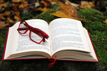 red framed eyeglasses on red book thumbnail