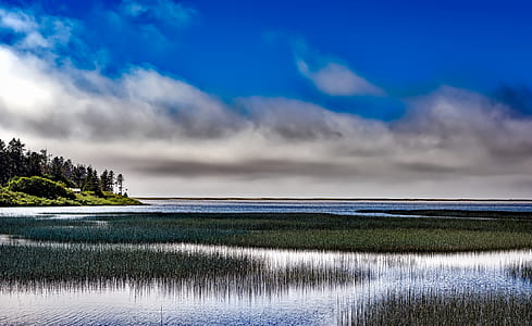 body of water with grass thumbnail