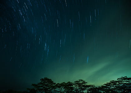 trees under phenomenon sky thumbnail