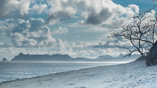 shore near calm body of sea under white cloud blue skies thumbnail